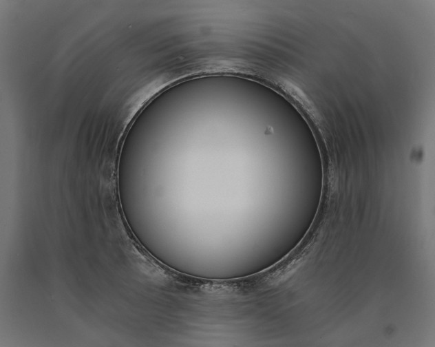 X0000090741089200708031540