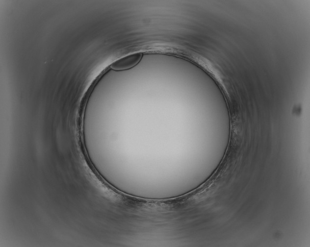 X0000090741091200708031540