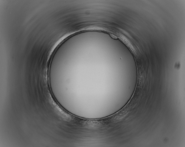 X0000090741092200708031540