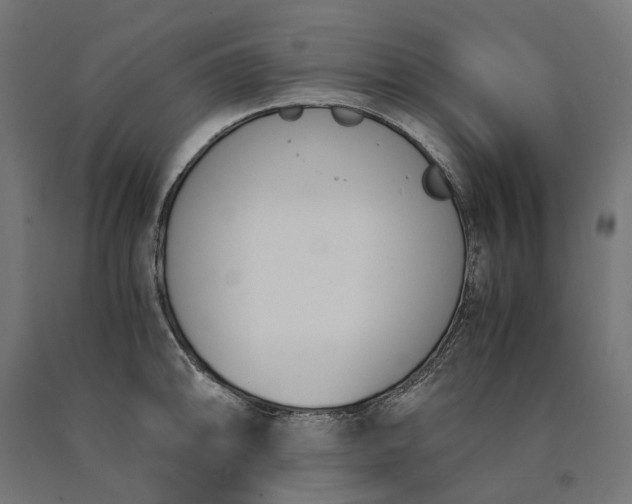 X0000090741094200708031540