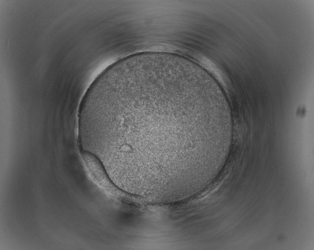 X0000090741095200708031540