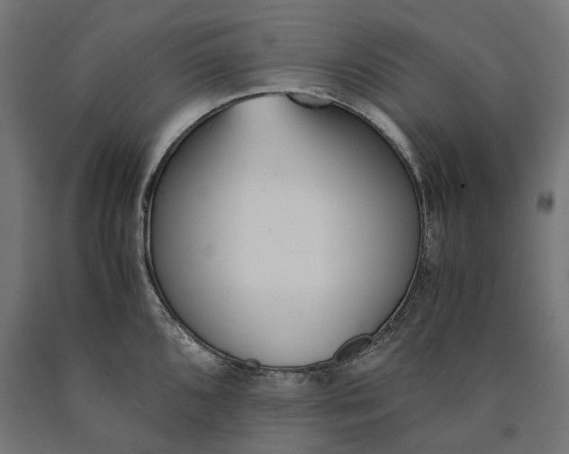 X0000090741096200708031540