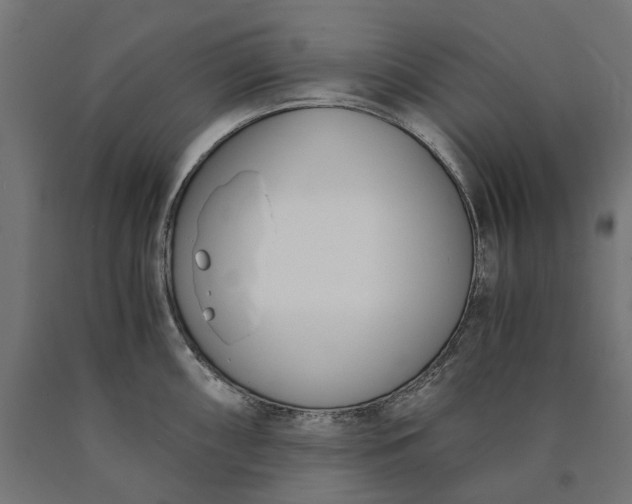 X0000090741098200708031540