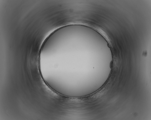 X0000090741100200708031540