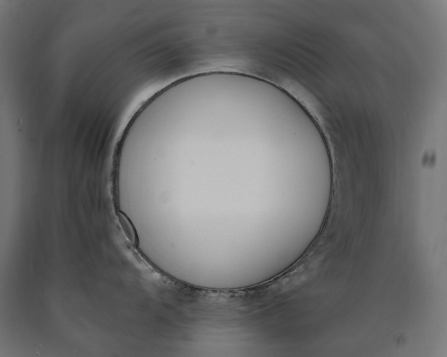 X0000090741104200708031540