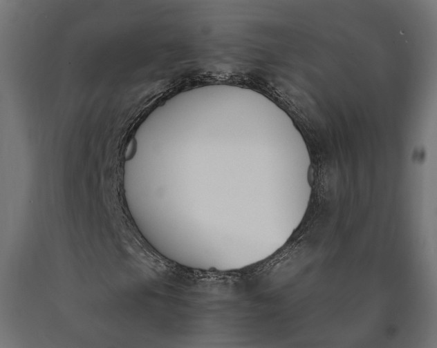 X0000090741105200708031539