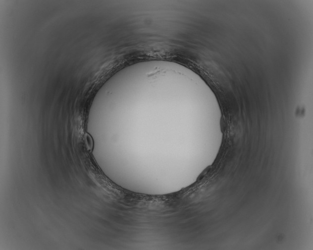 X0000090741106200708031540