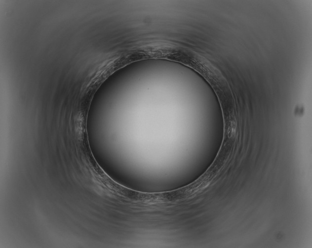 X0000090741108200708031540