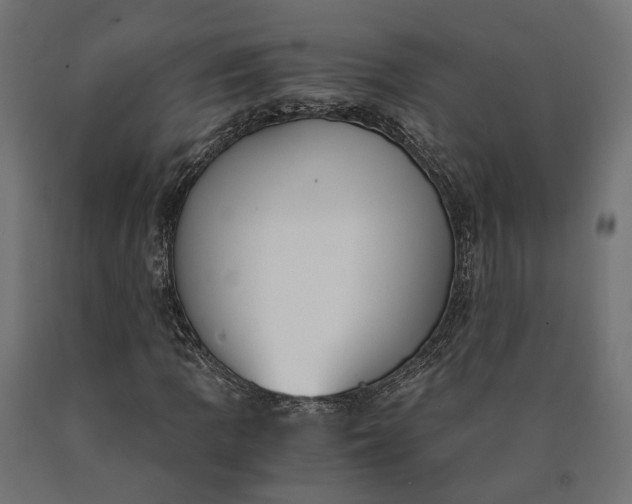 X0000090741109200708031540