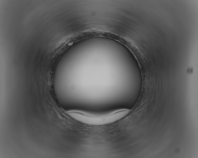 X0000090741110200708031540