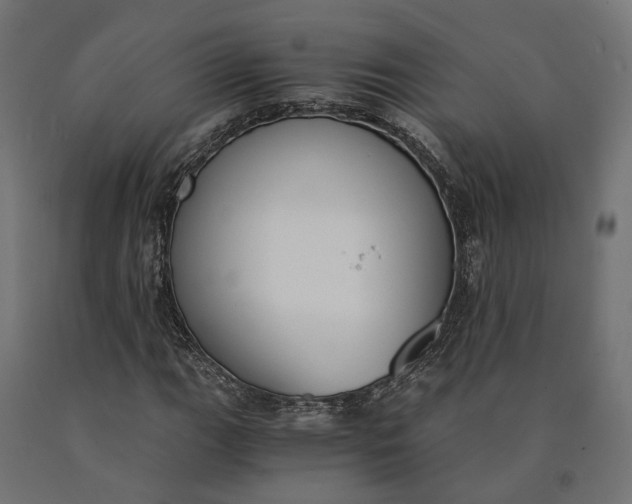 X0000090741111200708031540