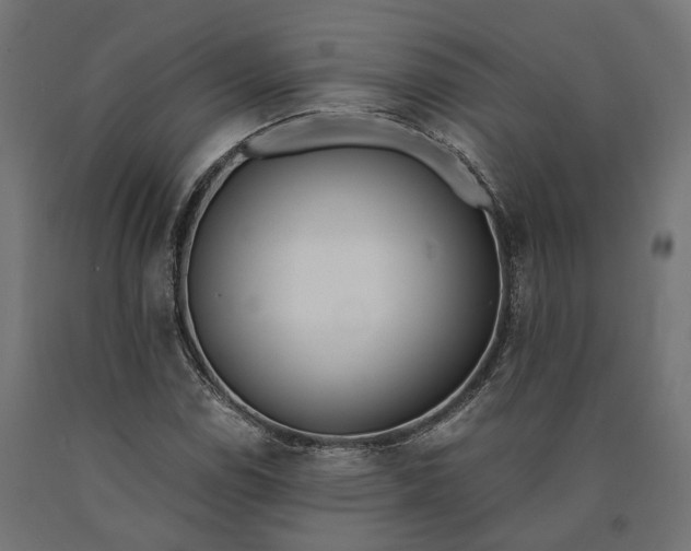 X0000090741114200708031540