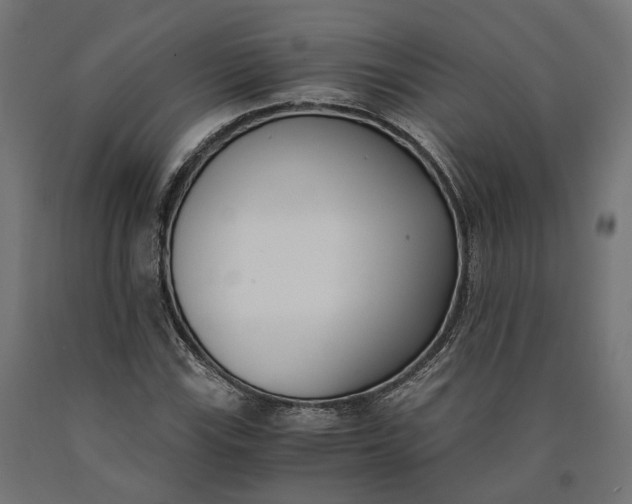 X0000090741115200708031540