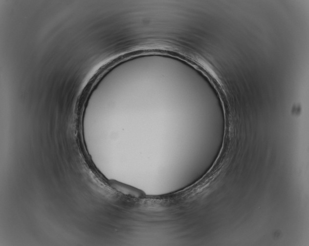 X0000090741116200708031540