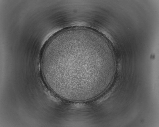 X0000090741117200708031540