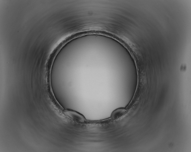 X0000090741118200708031540