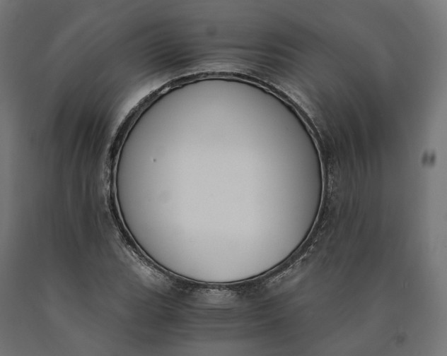 X0000090741119200708031540