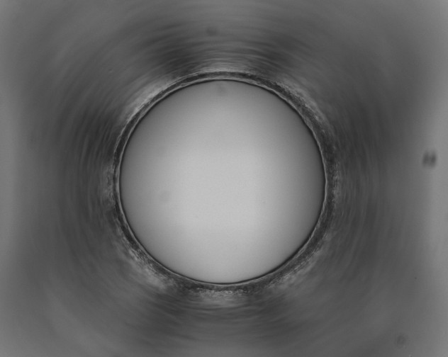 X0000090741121200708031540