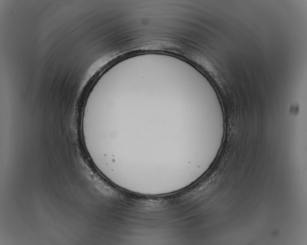 X0000090741122200708031540