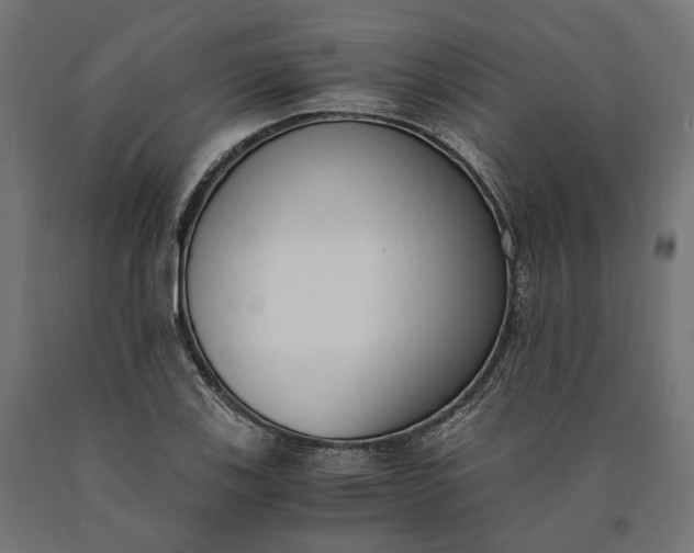 X0000090741123200708031540