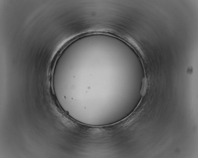 X0000090741124200708031540