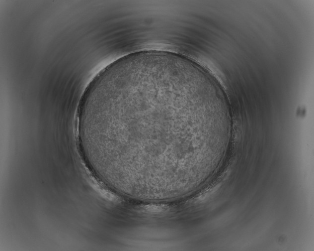 X0000090741125200708031540