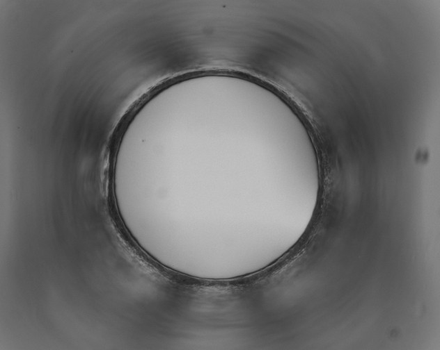 X0000090741126200708031540