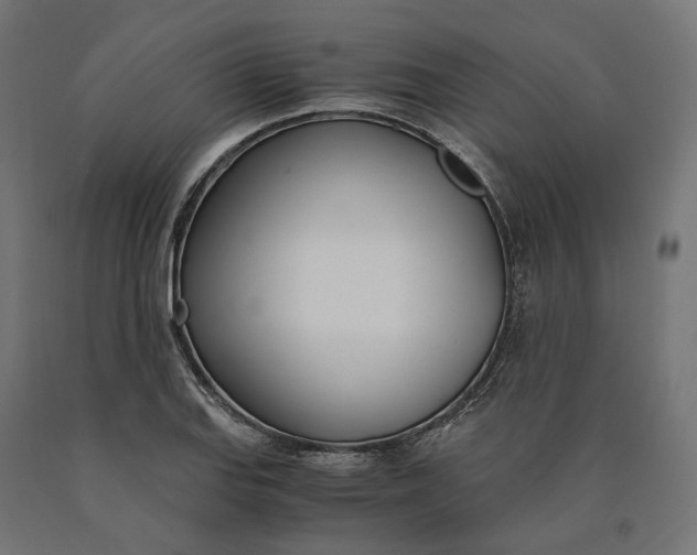 X0000090741127200708031540