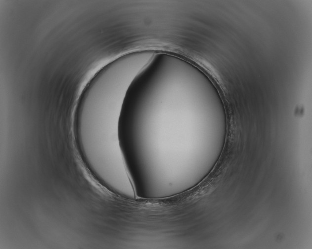 X0000090741128200708031540