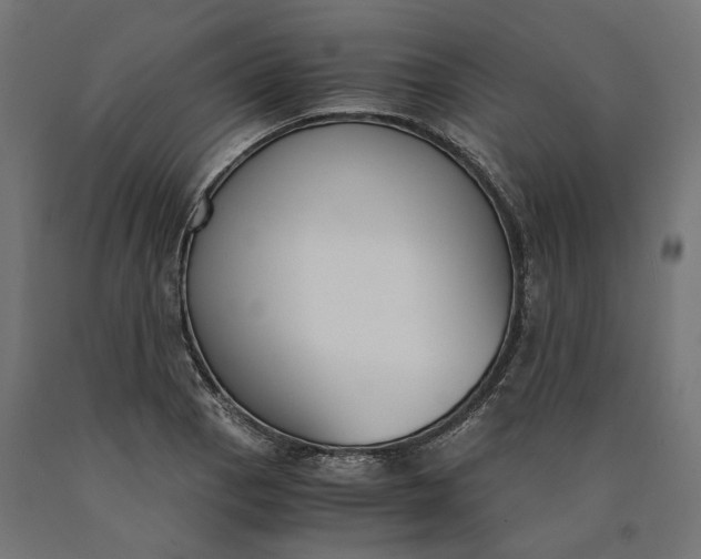 X0000090741129200708031540