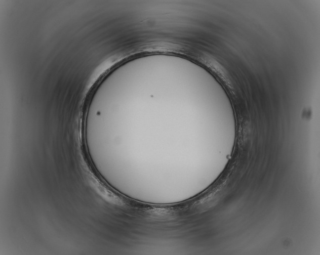 X0000090741130200708031540