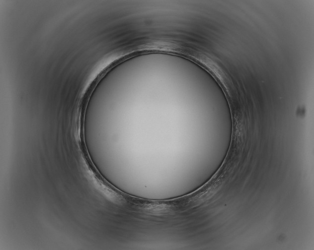 X0000090741131200708031540