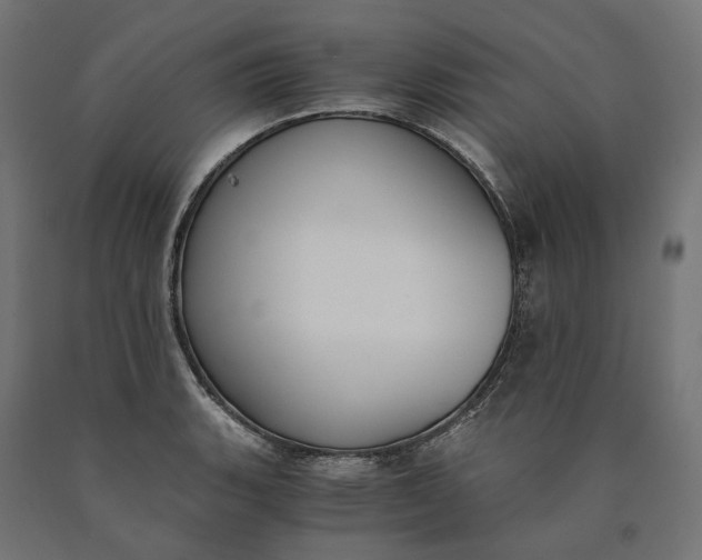 X0000090741135200708031540