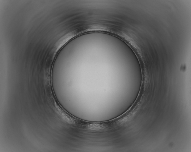 X0000090741137200708031540