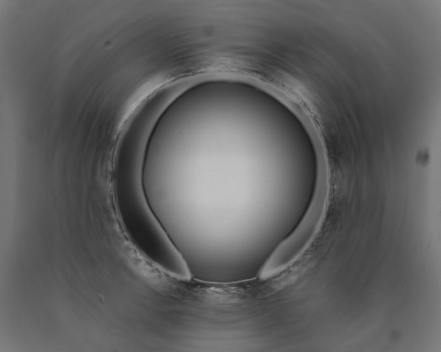 X0000090741138200708031540