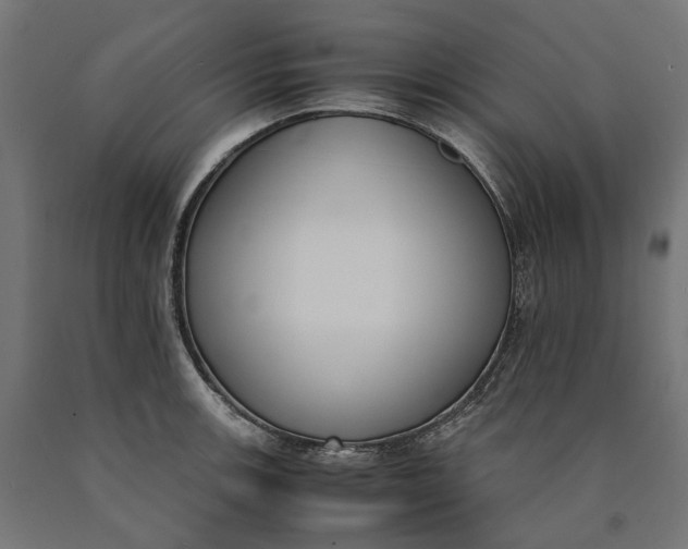 X0000090741139200708031540