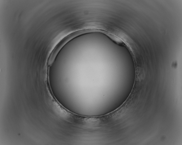 X0000090741140200708031540