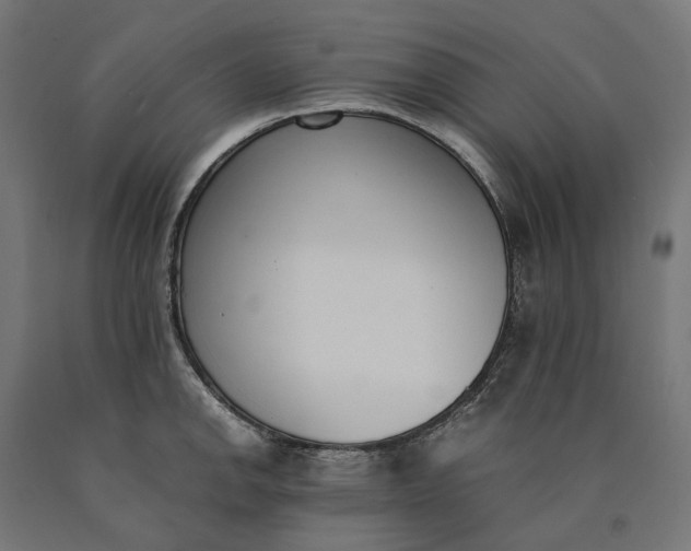 X0000090741142200708031540