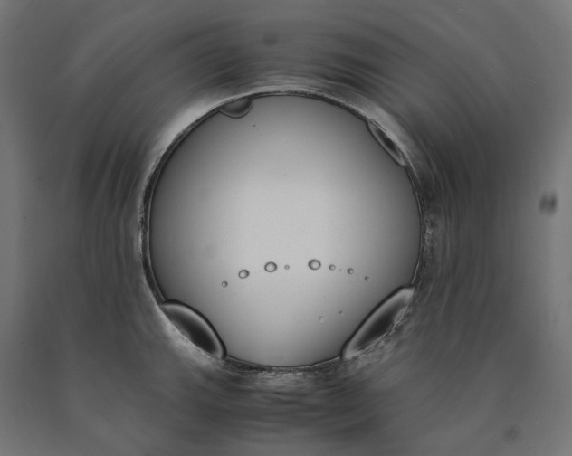 X0000090741143200708031540