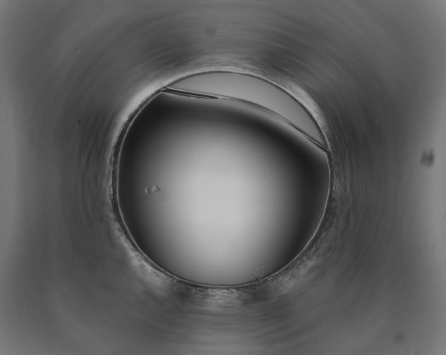 X0000090741144200708031540