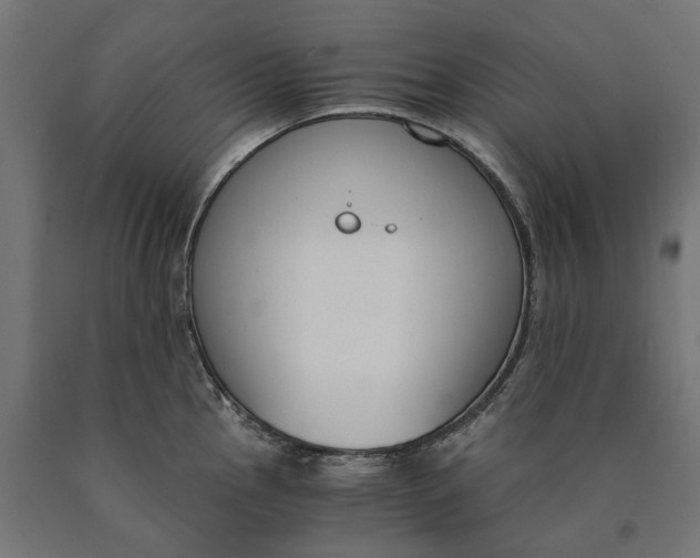 X0000090741145200708031540