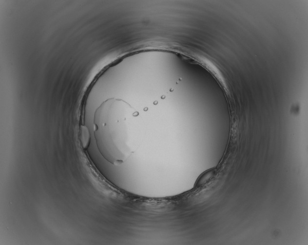 X0000090741146200708031540