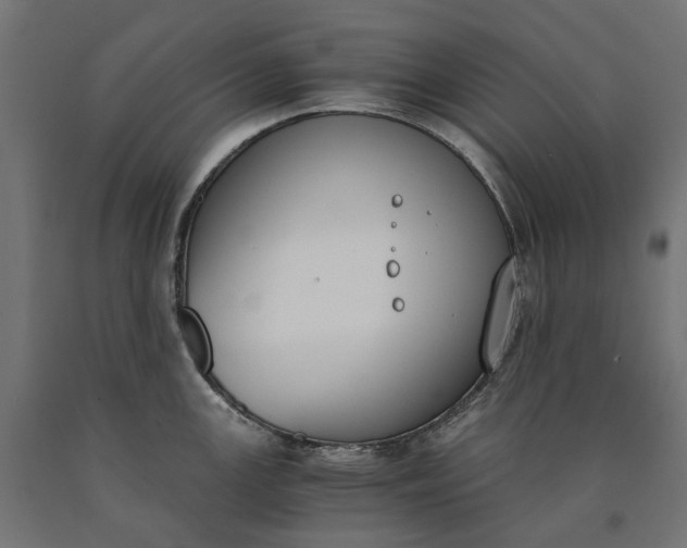 X0000090741147200708031540