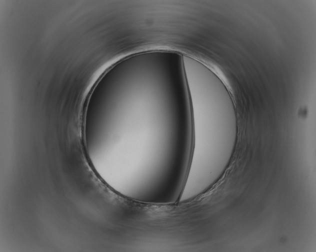 X0000090741148200708031540