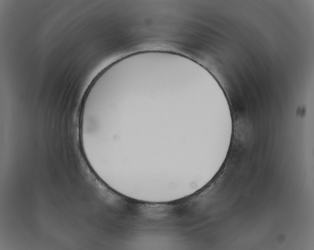 X0000090741150200708031540