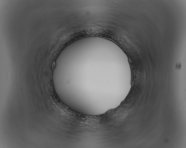 X0000090741153200708031539