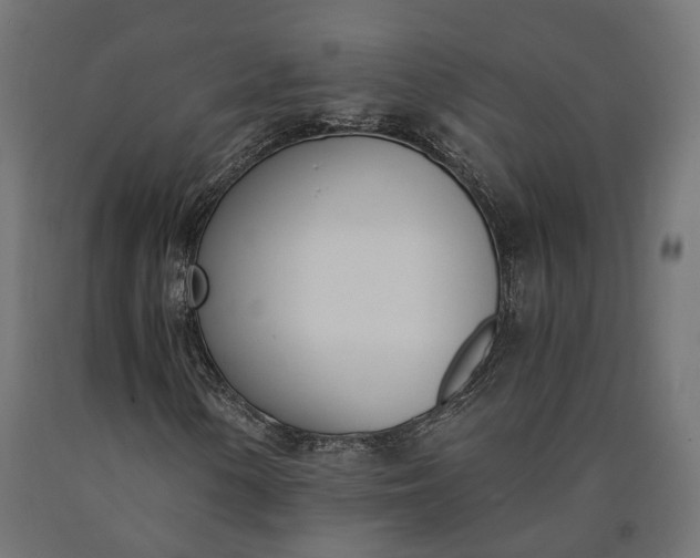 X0000090741154200708031539