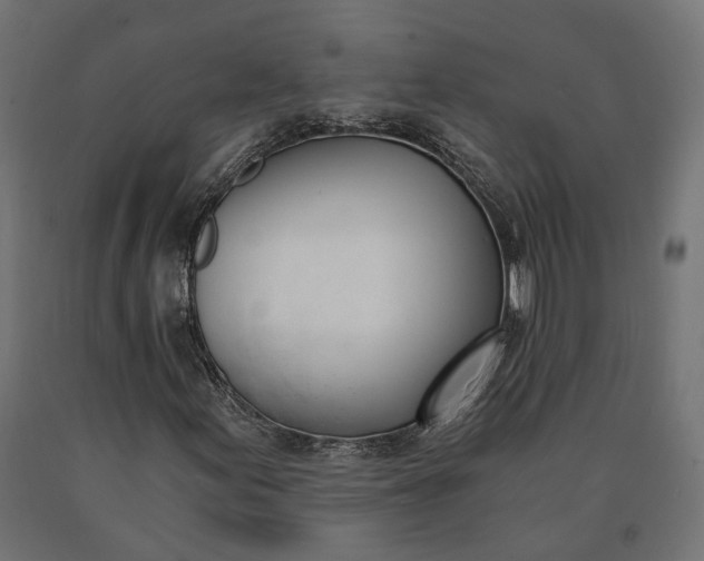 X0000090741155200708031539