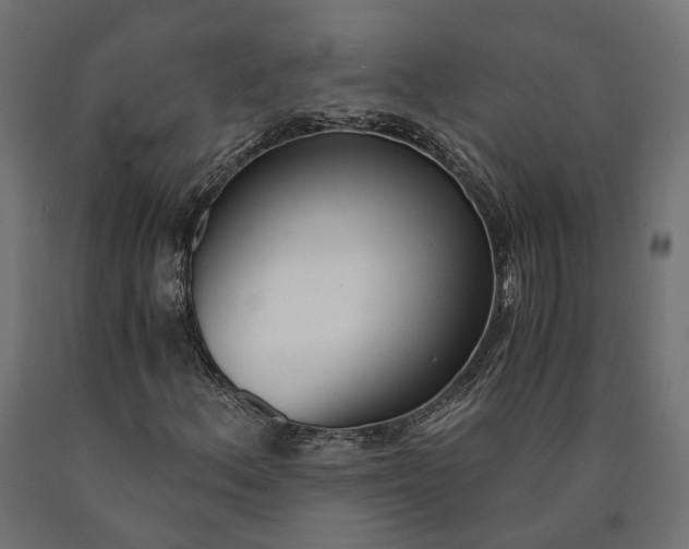 X0000090741156200708031539