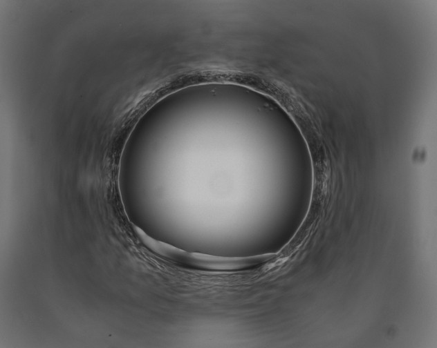 X0000090741157200708031539